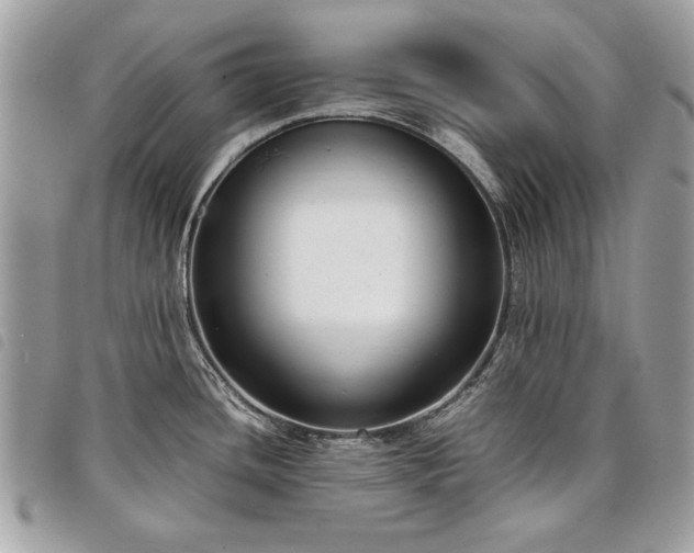 X0000098021436200804071342