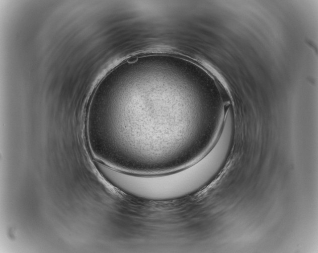 X0000098021437200804071342