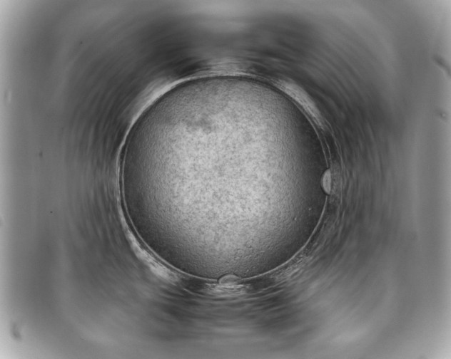 X0000098021439200804071342