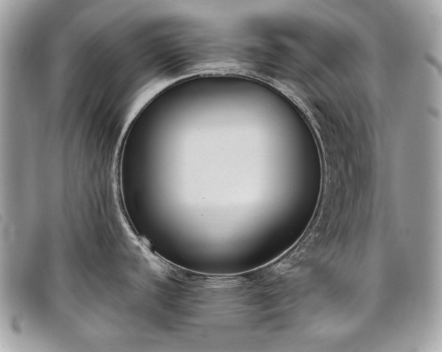 X0000098021440200804071342