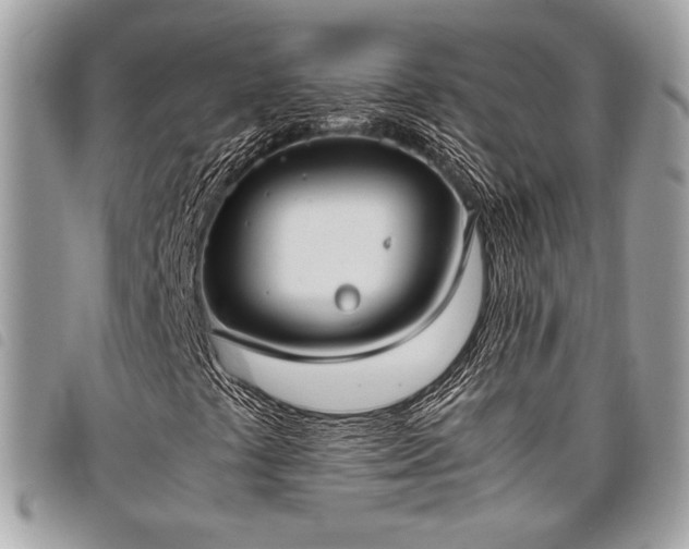 X0000098021441200804071341