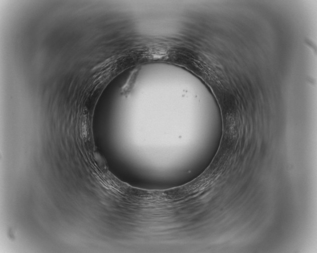 X0000098021442200804071341