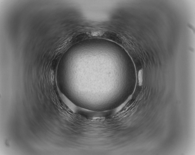 X0000098021443200804071341