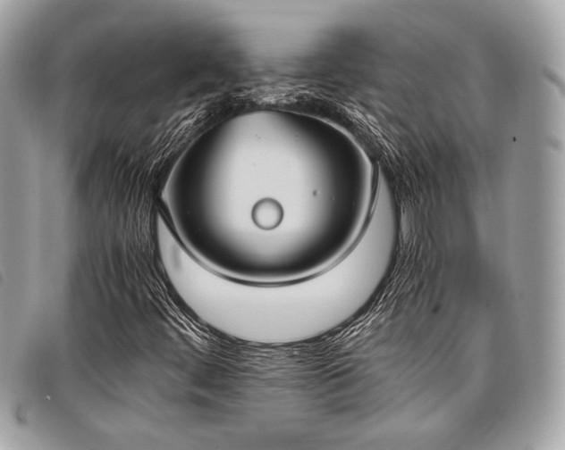 X0000098021444200804071341