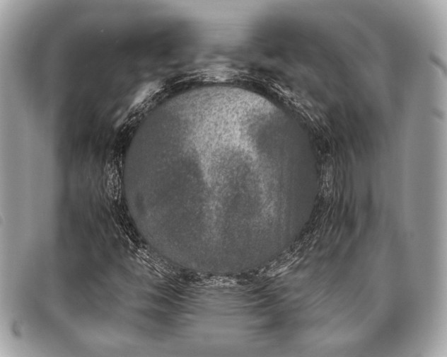 X0000098021446200804071341