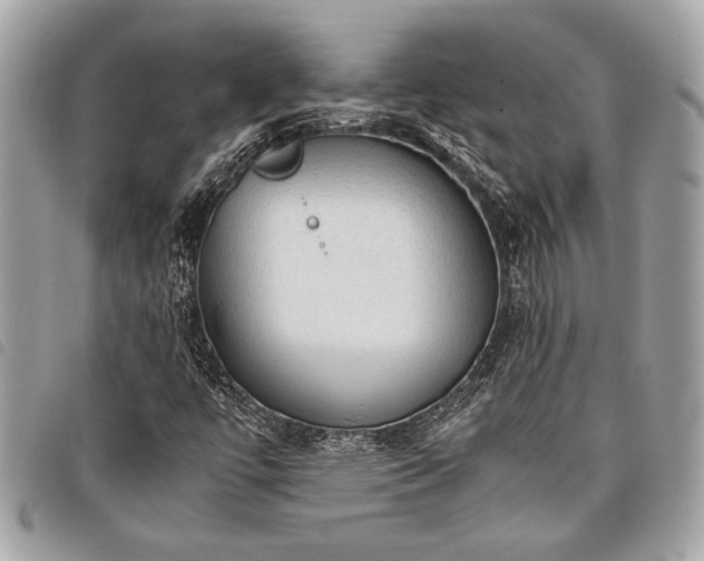 X0000098021447200804071341