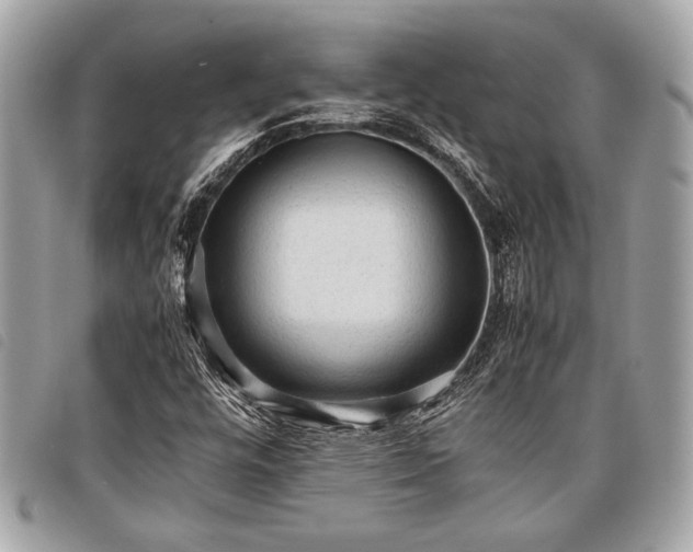 X0000098021448200804071341