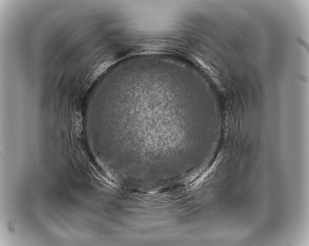 X0000098021449200804071341