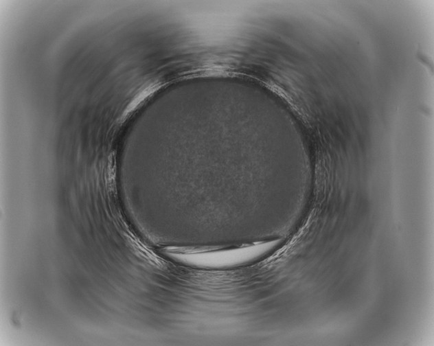 X0000098021450200804071341