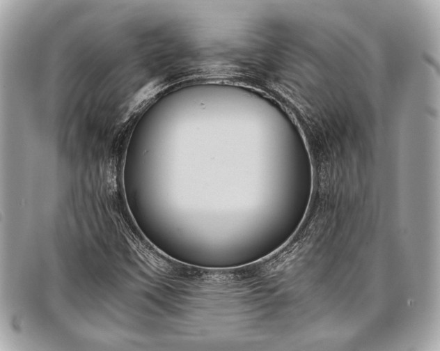 X0000098021451200804071341