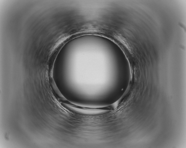 X0000098021452200804071341