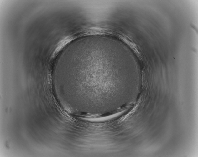 X0000098021453200804071341