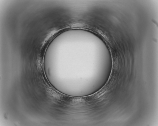 X0000098021454200804071341