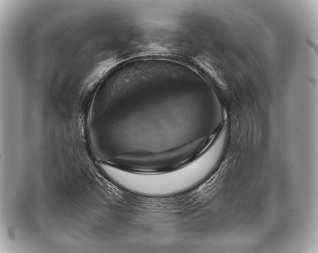 X0000098021455200804071341