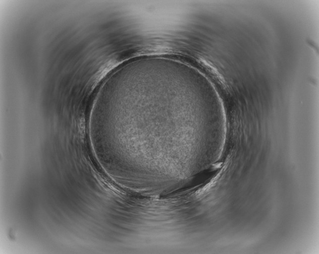 X0000098021457200804071341