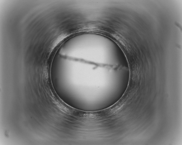 X0000098021458200804071341