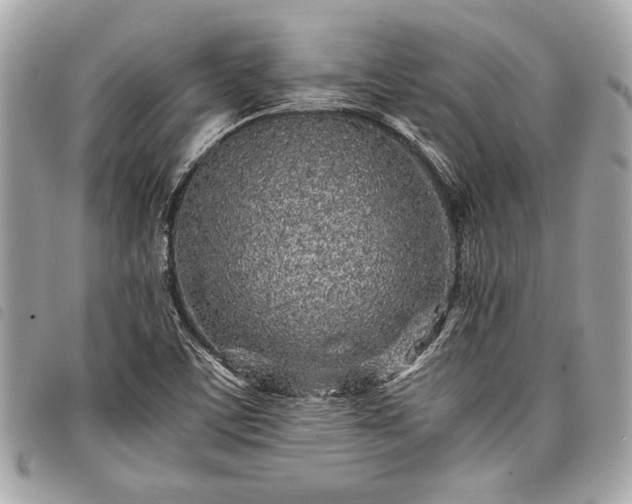 X0000098021459200804071341