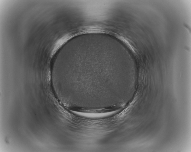 X0000098021461200804071341