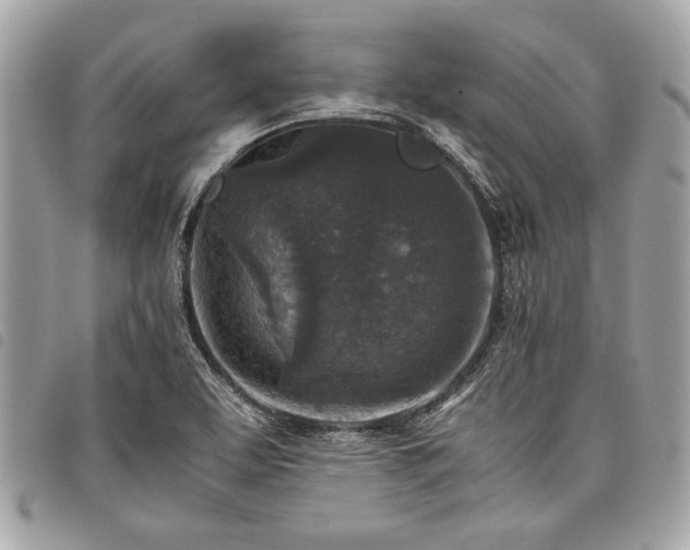 X0000098021463200804071341