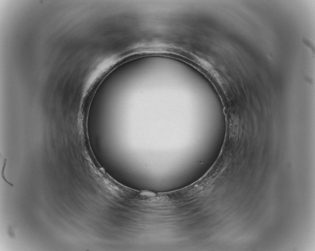 X0000098021464200804071341