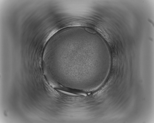 X0000098021465200804071341