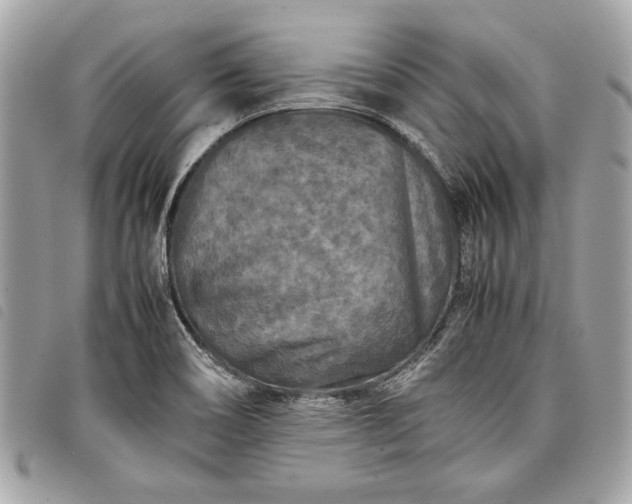 X0000098021466200804071341