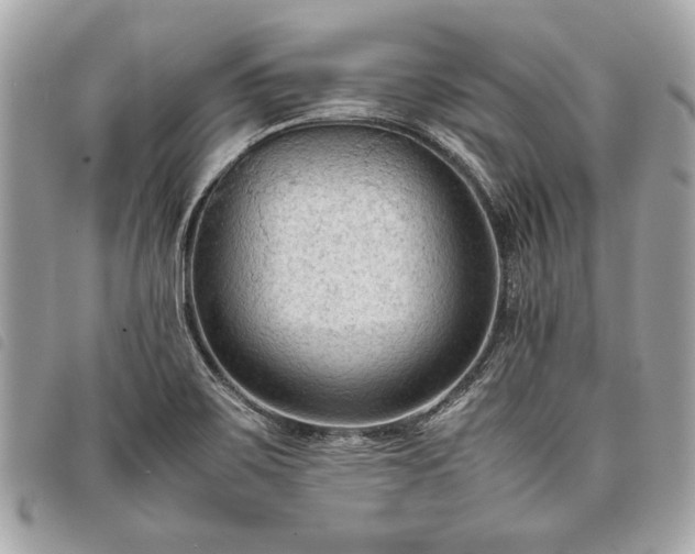 X0000098021467200804071341