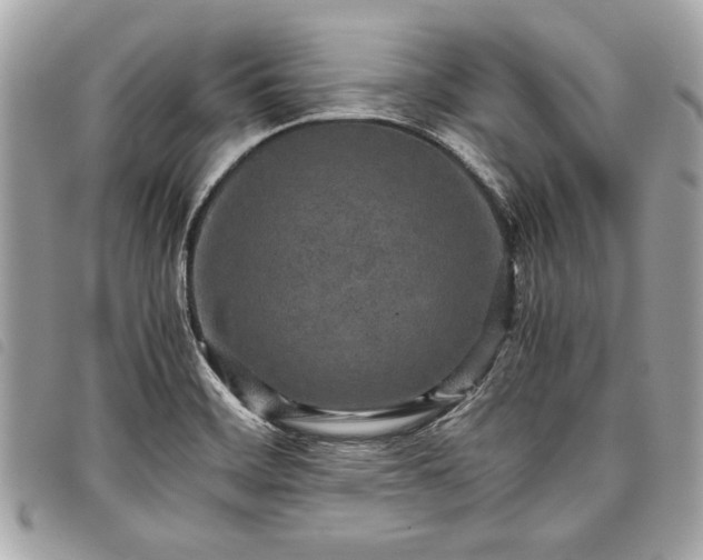 X0000098021468200804071341