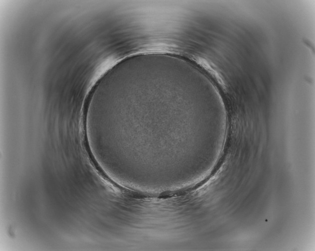 X0000098021469200804071341