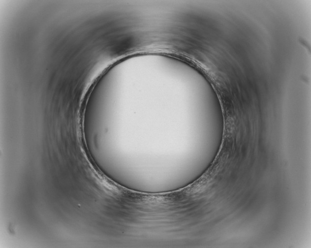 X0000098021470200804071341