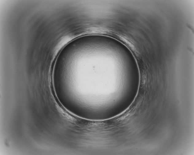 X0000098021471200804071341