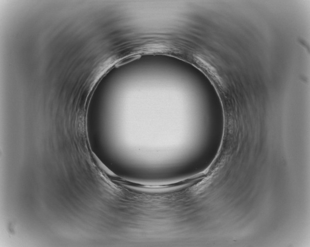 X0000098021473200804071341