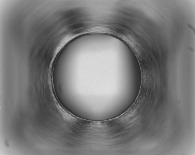 X0000098021478200804071341