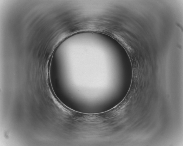 X0000098021479200804071341