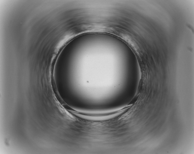 X0000098021480200804071341