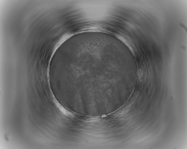 X0000098021482200804071341