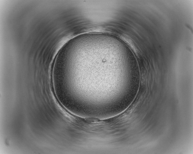 X0000098021483200804071341