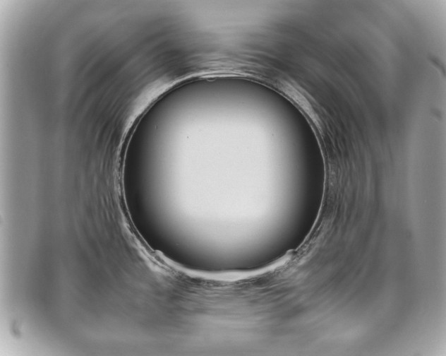 X0000098021485200804071341