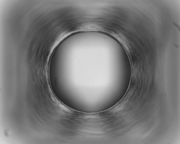 X0000098021486200804071341