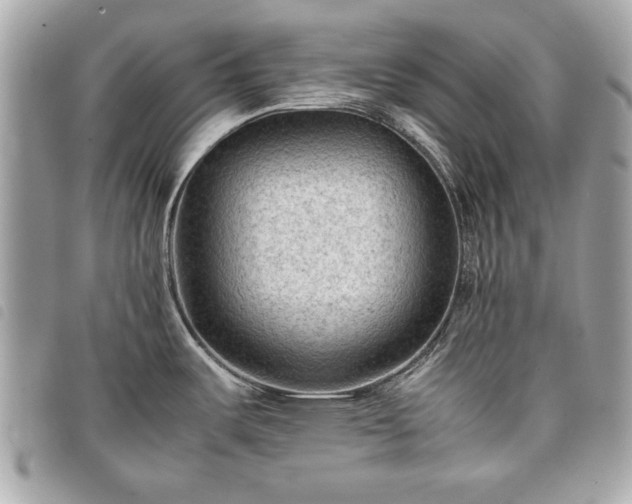 X0000098021487200804071341