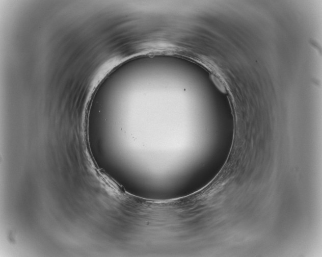 X0000098021488200804071341