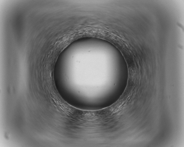 X0000098021489200804071340