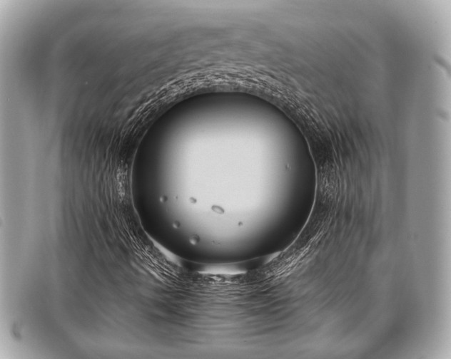 X0000098021490200804071340