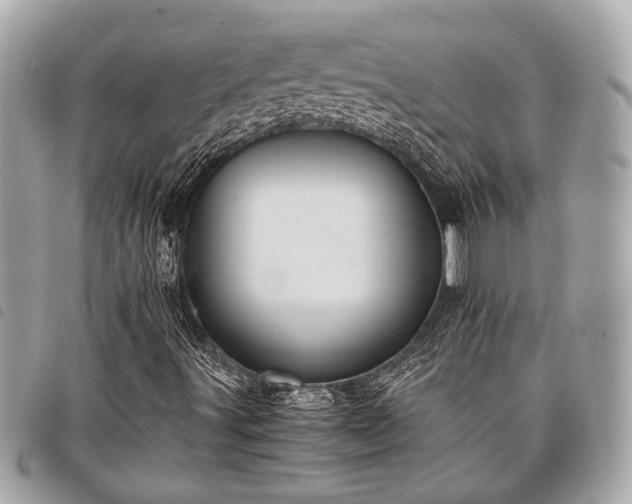 X0000098021491200804071340