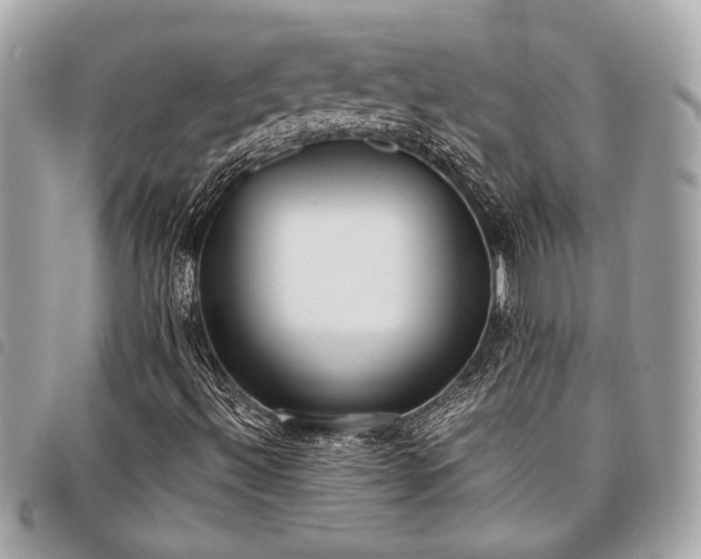 X0000098021492200804071340