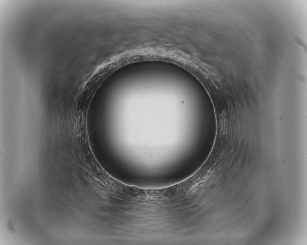 X0000098021494200804071340