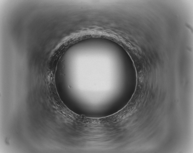 X0000098021495200804071340