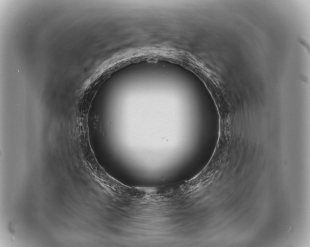 X0000098021496200804071340