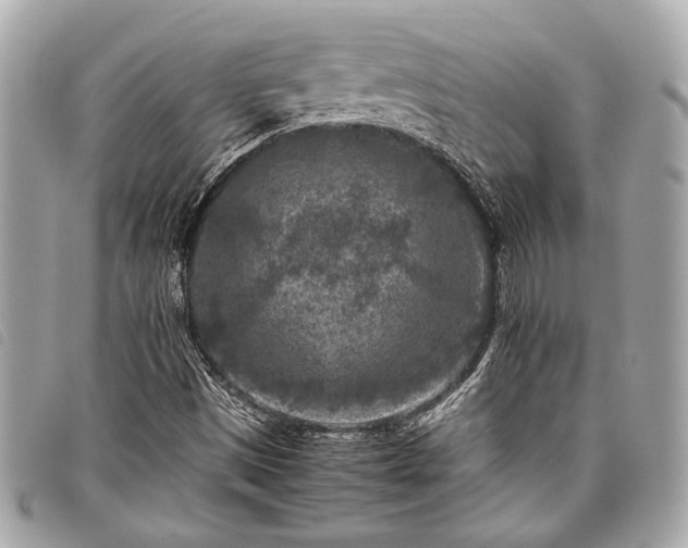 X0000098021497200804071340