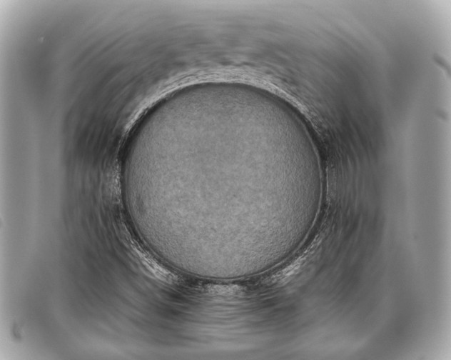 X0000098021498200804071340